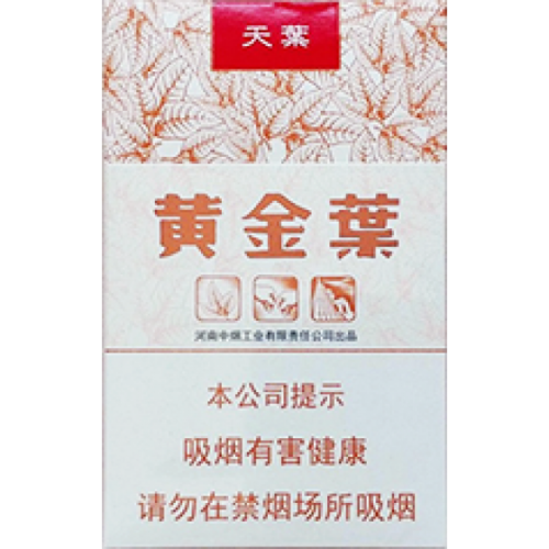 黄金叶（天叶）